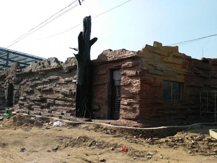 點擊查看詳細信息<br>標題：假房子 閱讀次數：1312