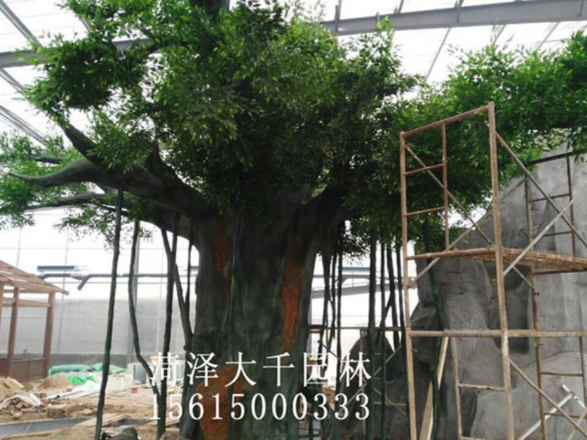 點擊查看詳細信息<br>標題：假樹 閱讀次數：1450