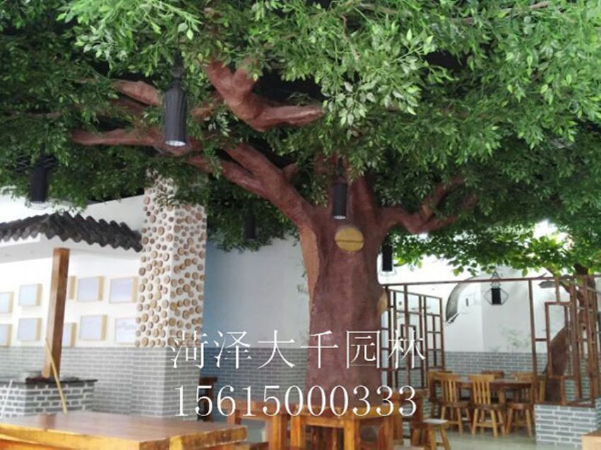 點擊查看詳細信息<br>標題：假樹 閱讀次數：1384