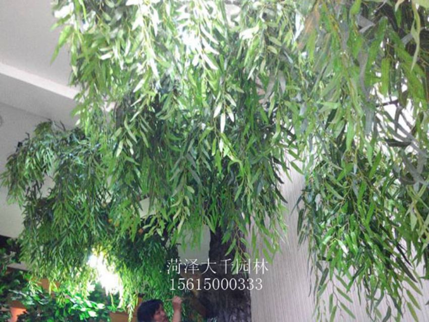 點擊查看詳細信息<br>標題：假樹 閱讀次數：1374