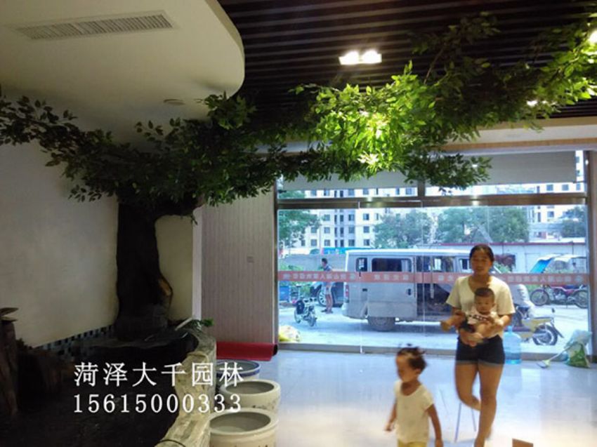 點擊查看詳細信息<br>標題：假樹 閱讀次數：1404