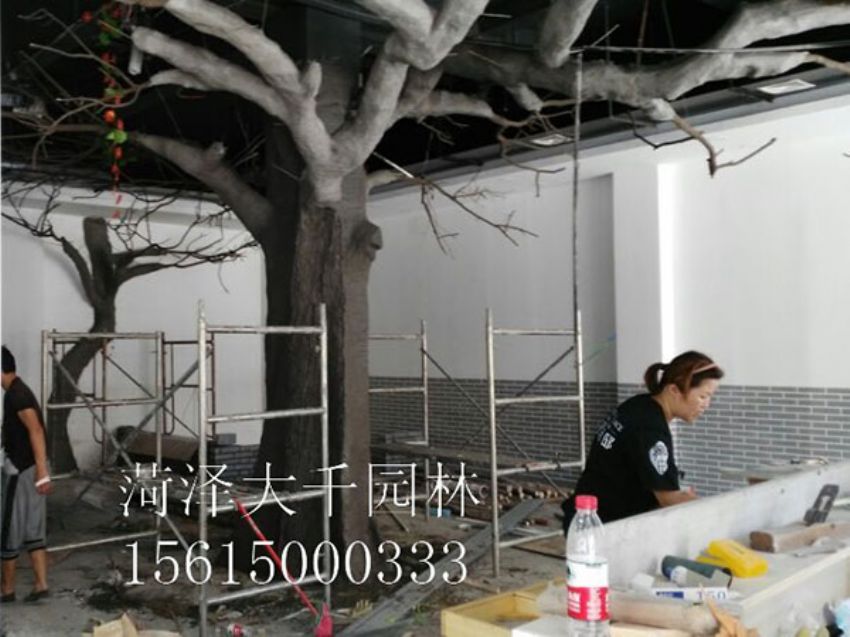 點擊查看詳細信息<br>標題：假樹 閱讀次數：1378