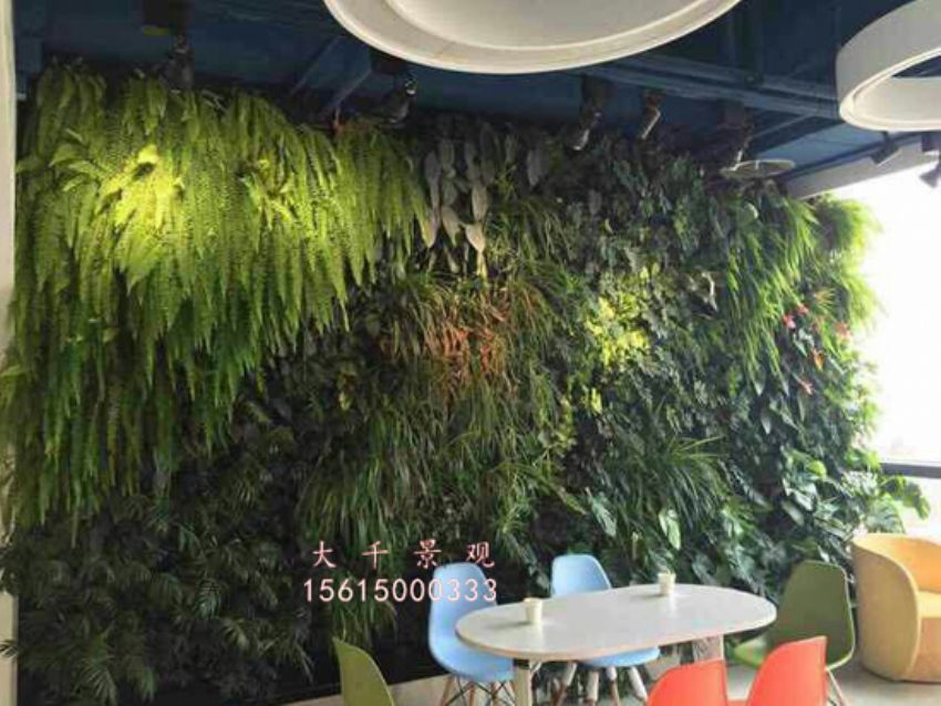 點(diǎn)擊查看詳細(xì)信息<br>標(biāo)題：綠植墻 閱讀次數(shù)：1947