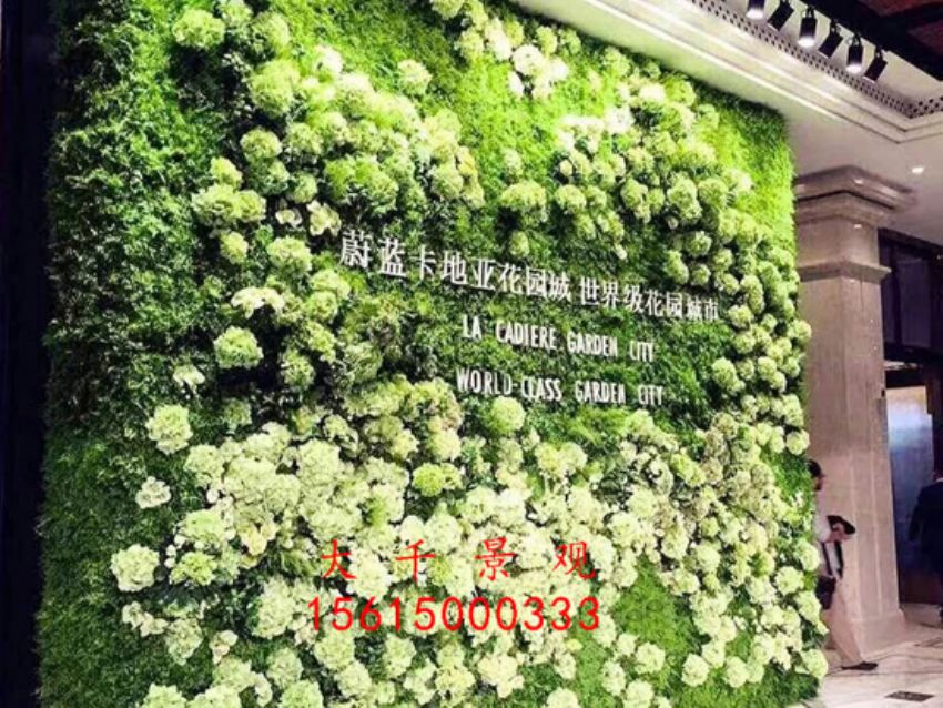 點(diǎn)擊查看詳細(xì)信息<br>標(biāo)題：綠植墻 閱讀次數(shù)：2043