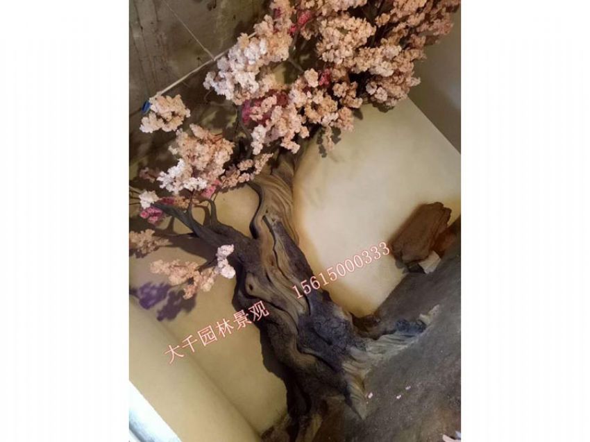 點擊查看詳細信息<br>標題：假樹 閱讀次數：2450